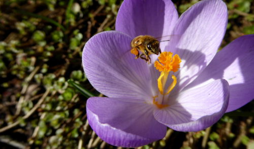 Artikelbild zu Artikel Geschäftsstelle in den Osterferien geschlossen