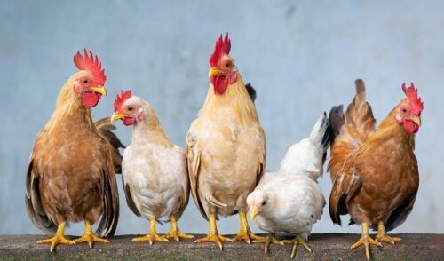 Artikelbild zu Artikel Ferienöffnungszeiten der Geschäftsstelle Osterferien