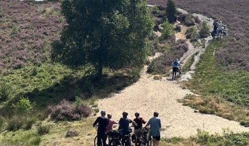 Artikelbild zu Artikel Herausragende Heidetour der DAV-Radlergruppe