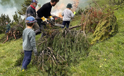 Artikelbild zu Artikel Anpacken für den Naturschutz – Schwendaktionen der Bergsteigerdörfer
